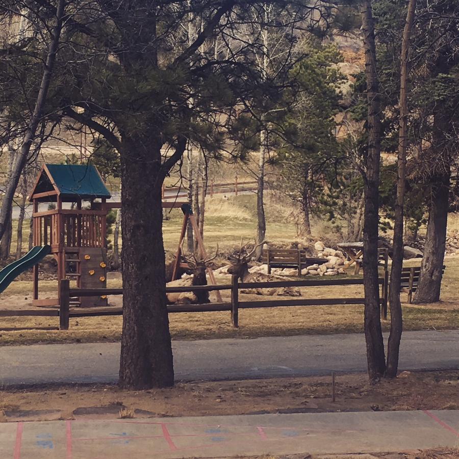 فيلا استيس باركفي Riverview Pines المظهر الخارجي الصورة